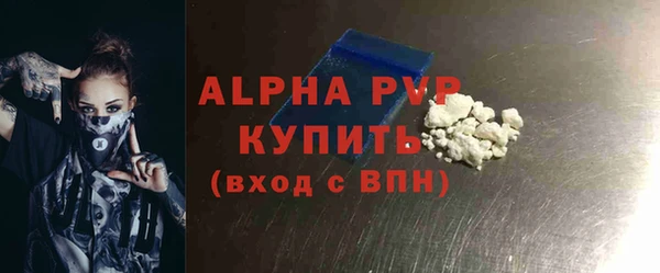 стаф Вязьма