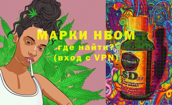 дмт Вяземский