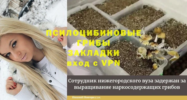 соль ск Вязники