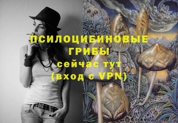 дмт Вяземский