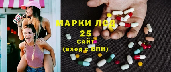 стаф Вязьма