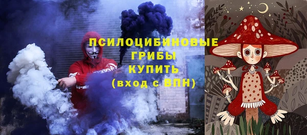 дмт Вяземский