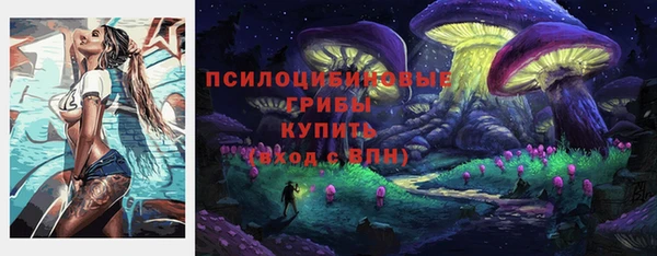 соль ск Вязники