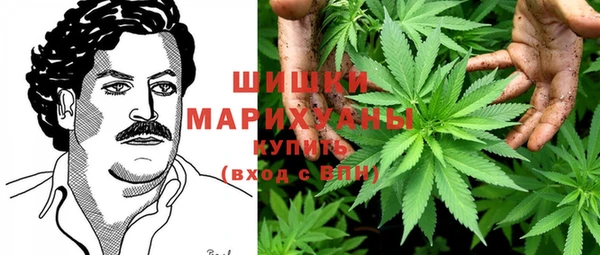 тгк Туринск