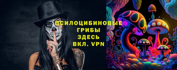 стаф Вязьма