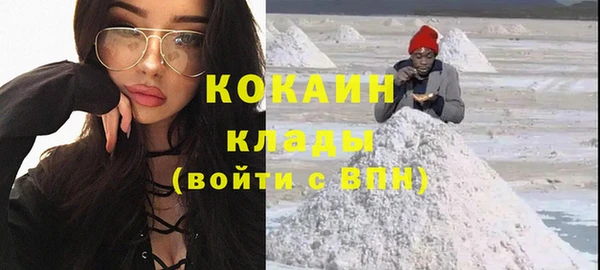 дмт Вяземский