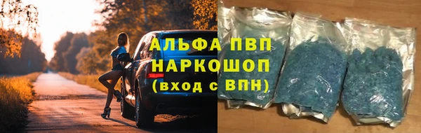гашик Киселёвск