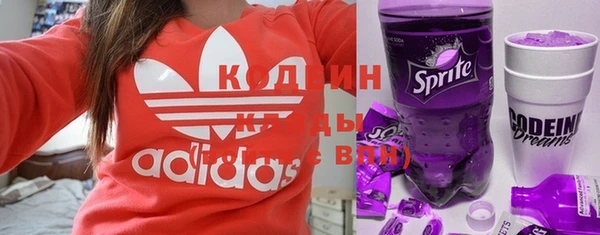 дмт Вяземский